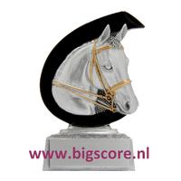 Paardensport FG256