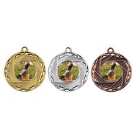 M132 Medaille goud-zilver-brons